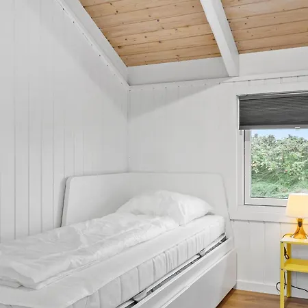 Pet Friendly In Hvide Sande With Wifi